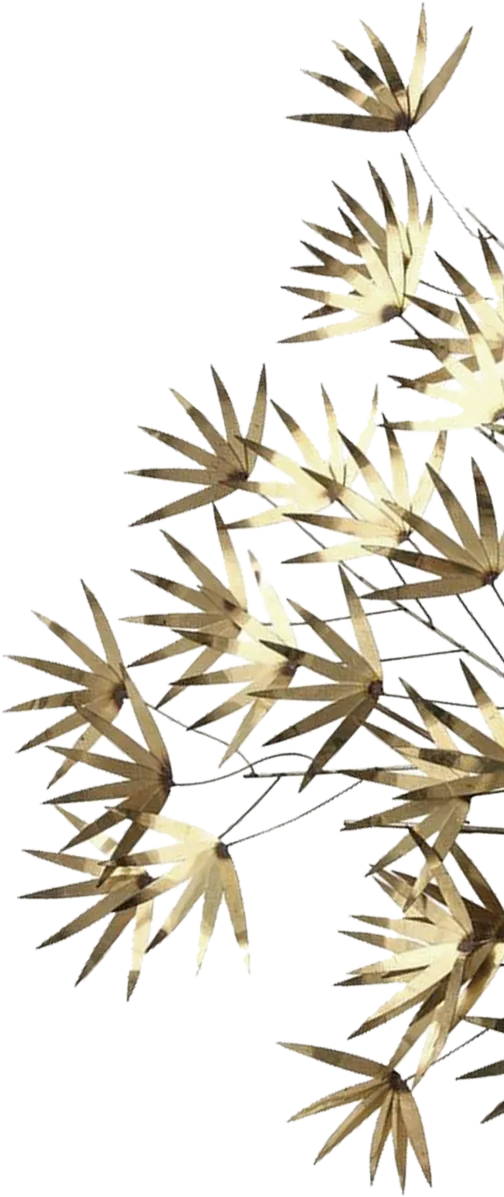 Decorative herbs right