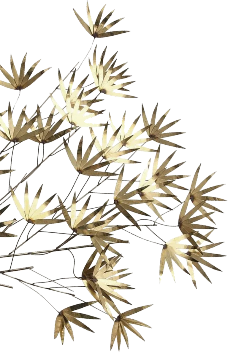 Decorative herbs left